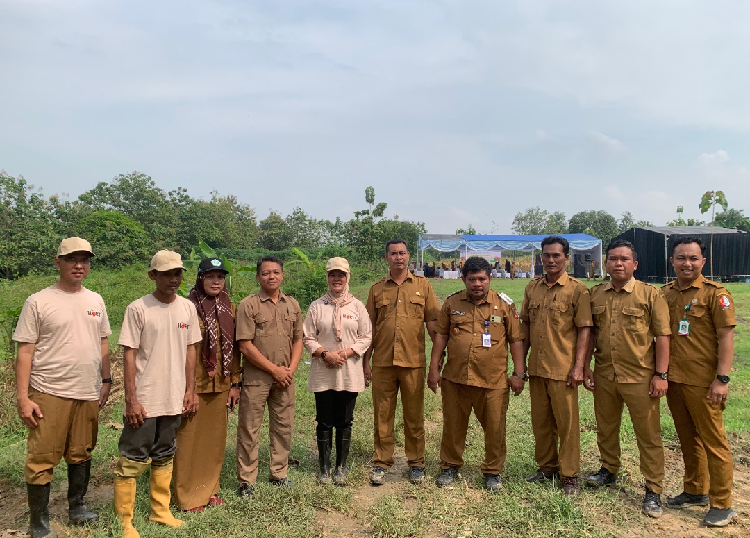 Penanaman pohon pepaya