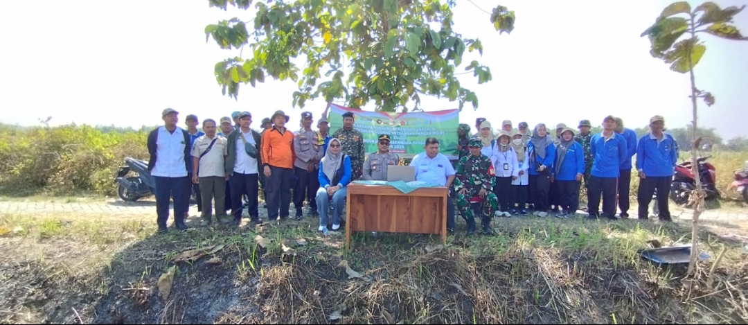 Penanaman jagung serentak
