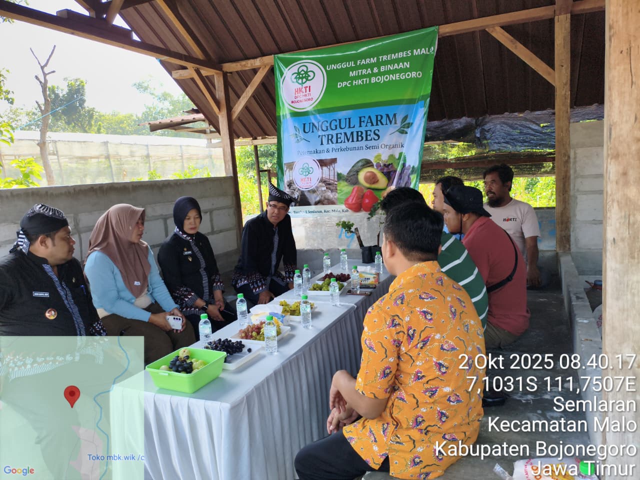 Panen Anggur di Unggul Farm Trembes Dihadiri Wakil Bupati Bojonegoro