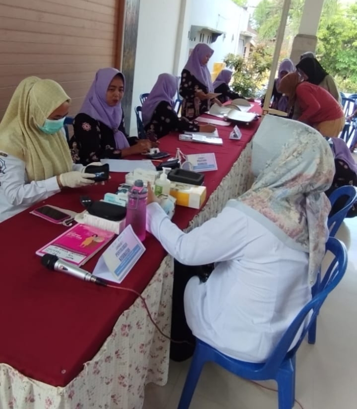 hari posyandu nasional